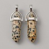 Natural Dalmatian Jasper Double Terminal Pointed Pendants G-WH0016-37I-1