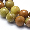 Natural Yellow Opal Beads Strands G-D0013-62D-3