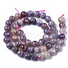 Natural Purple Red Tourmaline  Beads Strands G-N327-02A-01-3
