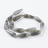 Natural Labradorite Beads Strands G-A175E-B13-2