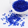 8/0 Frosted Round Glass Seed Beads X-SEED-A008-3mm-M8-1