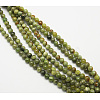Natural Idocrase Beads Strands X-G-N165-7-6