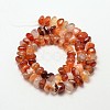 Dyed Natural Carnelian Nuggets Beads Strands G-P091-38-2