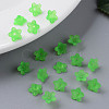 Transparent Acrylic Beads X-PL554-13-8