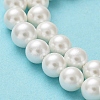 Shell Pearl Bead Strands X-BSHE-L026-03-6mm-6