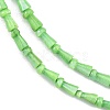 Natural Freshwater Shell Beads Strands SHEL-G013-02E-3