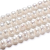 Natural Cultured Freshwater Pearl Beads Strands PEAR-I004-09-2