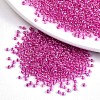 6/0 Glass Seed Beads X-SEED-A016-4mm-203-1