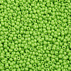 11/0 FGB Grade A Baking Paint Glass Seed Beads X-SEED-N001-A-1024-2