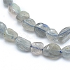 Natural Labradorite Beads Strands X-G-L550A-06-2