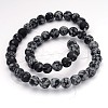 Natural Snowflake Obsidian Gemstone Beads G-J338-03-8mm-2