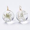 Glass Pendants X-GLAA-Q070-002B-01-2