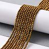 Electroplate Glass Beads Strands GLAA-H021-01A-FP04-3