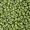6/0 Glass Seed Beads SEED-US0003-4mm-124-2