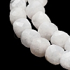 Natural Rainbow Moonstone Beads Strands G-H042-A02-02-4