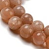 Round Natural Sunstone Beads Strands G-F222-33-8mm-1-6