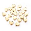 304 Stainless Steel Charms STAS-E447-23G-1