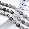 Natural Map Stone/Picasso Stone Beads Strands G-N326-100-09-4
