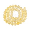Crackle Transparent Glass Beads Strands GLAA-N068-06A-06-2