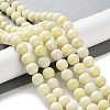 Natural Jade Beads Strands G-L609-A01-02-2