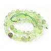 Natural Prehnite Beads Strands G-I250-01D-2