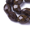 Natural Bronzite Beads Strands G-P422-14-2