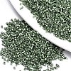 FGB 11/0 Grade A Baking Paint Glass Seed Beads SEED-S030-1208-1
