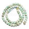 Natural Green Opal Beads Strands G-R494-A08-02-2