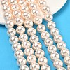 Electroplated Shell Pearl Beads Strands BSHE-G041-10mm-04-5