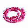 Natural Trochid Shell/Trochus Shell Beads Strands SSHEL-N032-48-A06-2