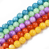 Natural Freshwater Shell Beads Strands SHEL-N003-24-1