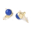Natural Agate Dangle Earrings EJEW-L286-02G-2