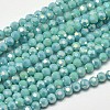 Faceted Round Full Rainbow Plated Electroplate Glass Beads Strands EGLA-J130-FR03-1