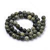 Natural Serpentine/Green Lace Stone Beads Strands G-S259-15-8mm-2