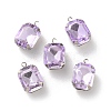 Rhinestone Pendants RGLA-P038-02P-10-1