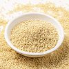 MIYUKI Round Rocailles Beads X-SEED-G009-RR0493-2