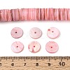 Natural Freshwater Shell Beads Strands SHEL-N037-03A-05-4