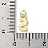 Rack Plating Brass Charms KK-P245-06G-S-3