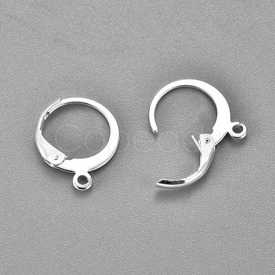 304 Stainless Steel Leverback Earring Findings STAS-F155-13S-1