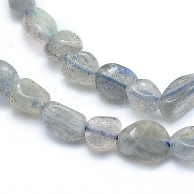 Natural Labradorite Beads Strands X-G-L550A-06-1