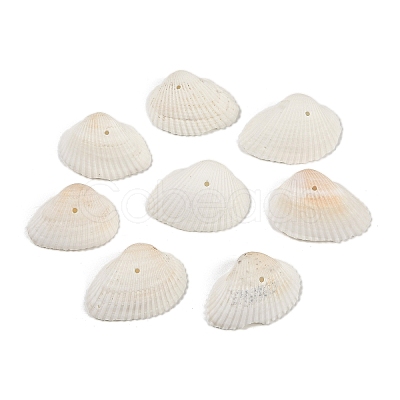Natural Shell Beads SHEL-K009-15-1