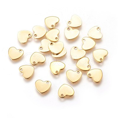 304 Stainless Steel Charms STAS-E447-23G-1