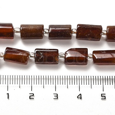 Natural Garnet Beads Strands G-N327-06-19-1