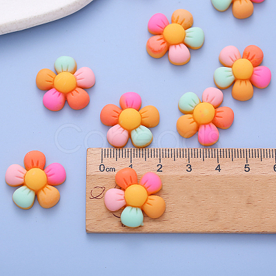 Opaque Resin Cabochons WG23028-01-1