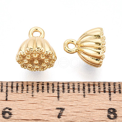 Brass Charms KK-N263-116A-G-1