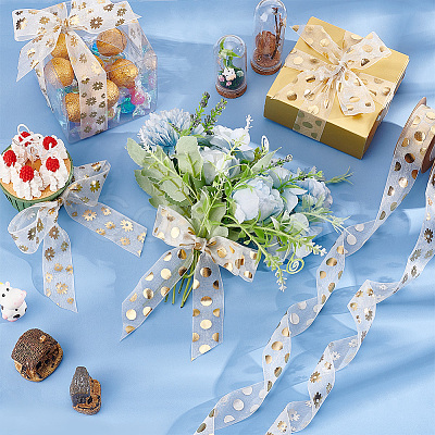 2 Rolls 2 Styles Printed Organza Ribbons SRIB-PH0001-29-1