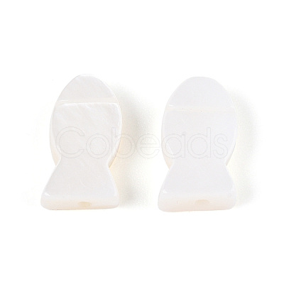 Natural Freshwater Shell Beads SHEL-T020-65-1