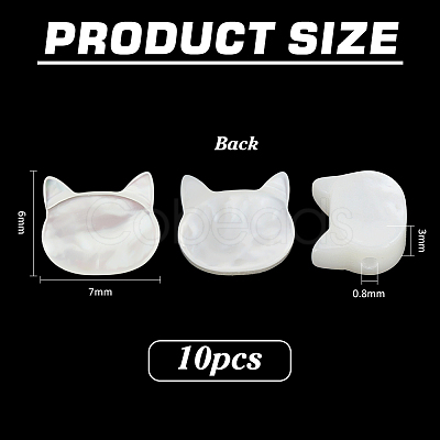 10Pcs Natural White Shell Beads SHEL-PH0001-71-1