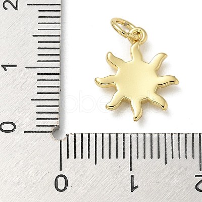 Rack Plating Brass Enamel Charms KK-K392-50G-05-1