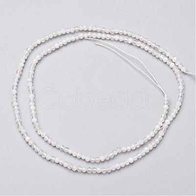 Natural Rainbow Moonstone Bead Strands G-P213-21-2mm-1